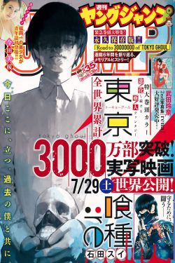 《4080yy手机理论》